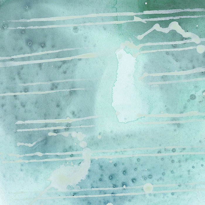 imagen 11. chapman expo